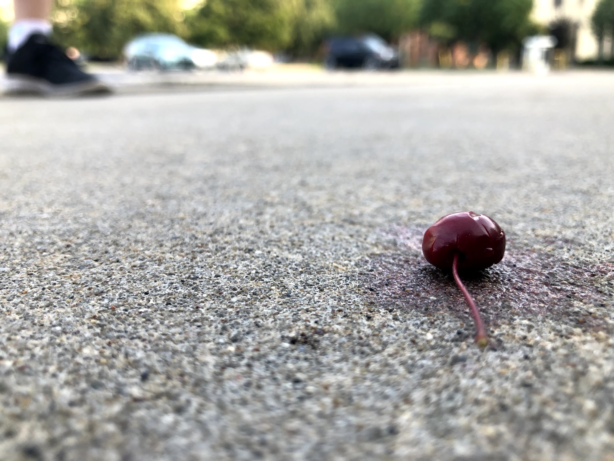 A single cherry smashed on the ground